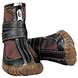 dog boots set reviews